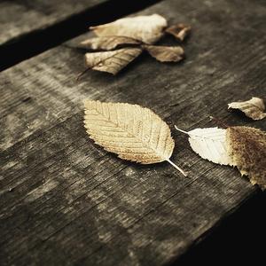 陈雅漫CSgirl纯涩王涛摄影大师高品质作品
