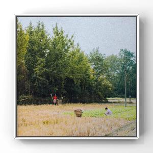 陈雅漫CSgirl纯涩王涛摄影大师高品质作品
